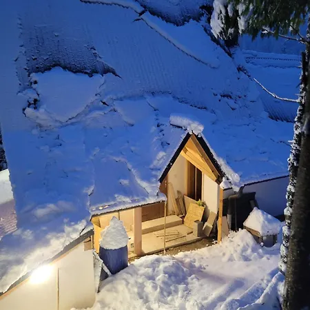 Vlasic Holiday home